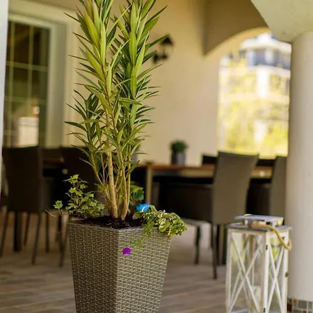 Villa Pool House Mamaia *